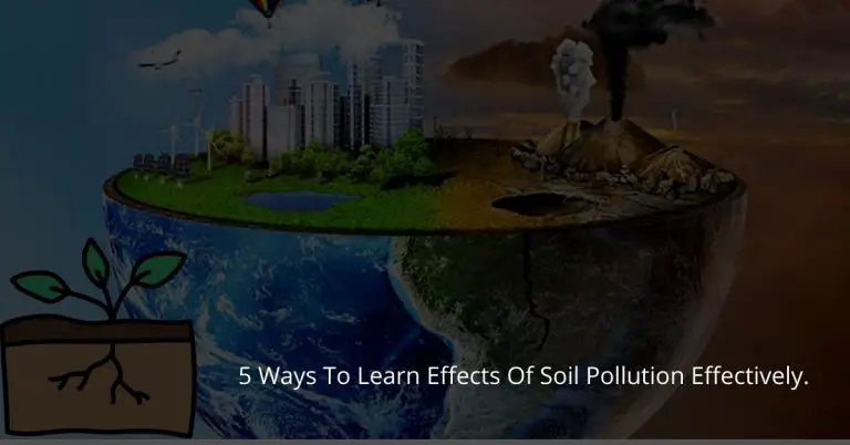 5 Ways To Learn Effects Of Soil Pollution Effectively.