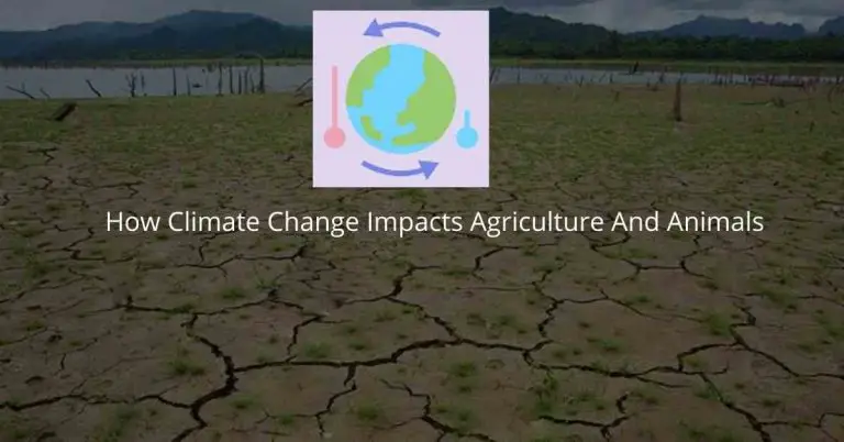 How Climate Change Impacts Agriculture And Animals