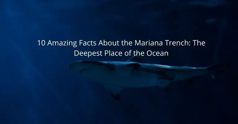 10 Amazing Facts About the Mariana Trench: The Deepest Place of the Ocean
