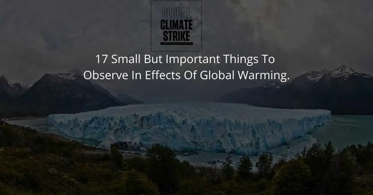 17 Small But Important Things To Observe In Effects Of Global Warming.