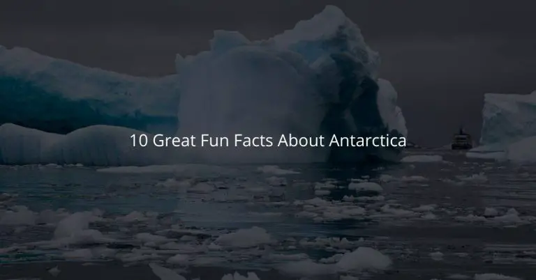 10 Great Fun Facts About Antarctica