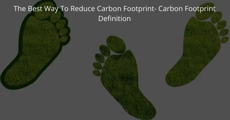 The best way to reduce carbon footprint- Carbon Footprint Definition