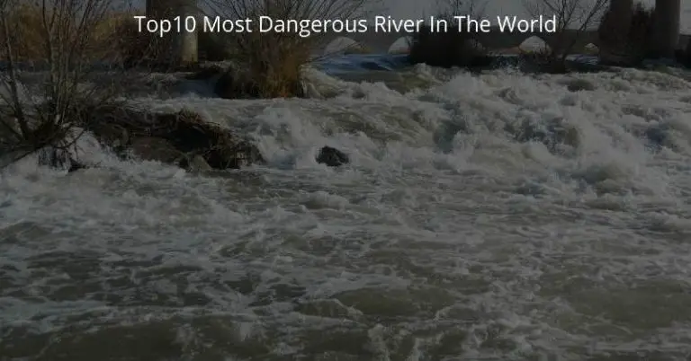 Top10 most dangerous river in the world
