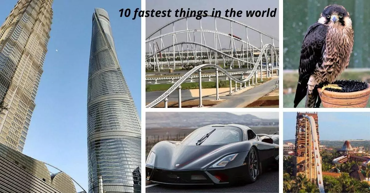 10 fastest things in the world