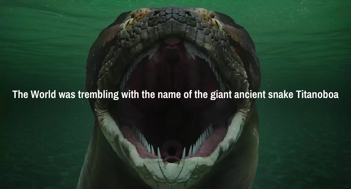 The World was trembling with the name of the giant ancient snake Titanoboa