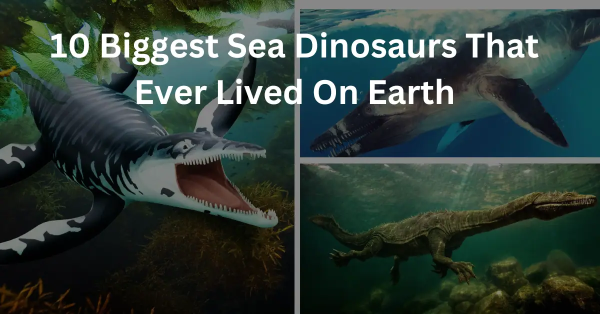 10 biggest sea dinosaurs that ever lived on earth
