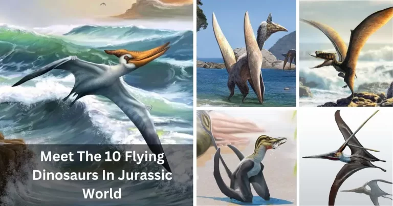 Meet The 10 Flying Dinosaurs In Jurassic World