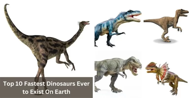 Top 10 Fastest Dinosaurs Ever to Exist On Earth