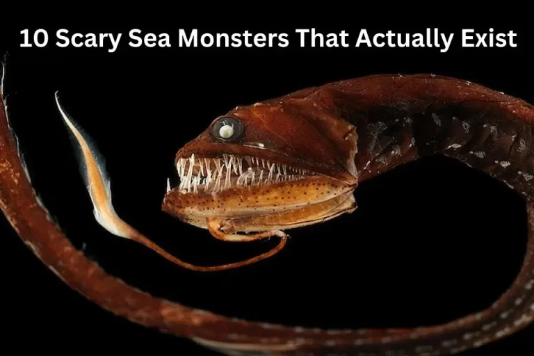 10 Scary Sea Monsters That Actually Exist